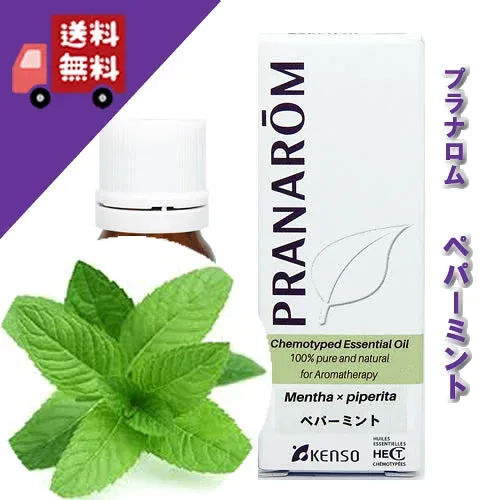 【ペパーミント 10ml】→清涼感と甘さを併せ持ち、爽快感では代表的な香り♪(リフレッシュハーブ系)100%ピュアの天然無農薬有機栽培オイル【PRANAROM(プラナロム】(精油/アロマオイル/エッセンシャルオイル)P-119