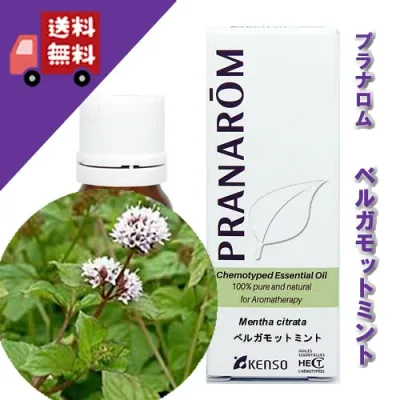 【限定販売】【ベルガモットミント 10ml】→甘くフルーティなベルガモットのような香り♪(リラックスハーブ系)天然無農薬有機栽培オイル【PRANAROM(プラナロム)/NARD(ナードジャパン)】(精油/アロマオイル/エッセンシャルオイル)P-117