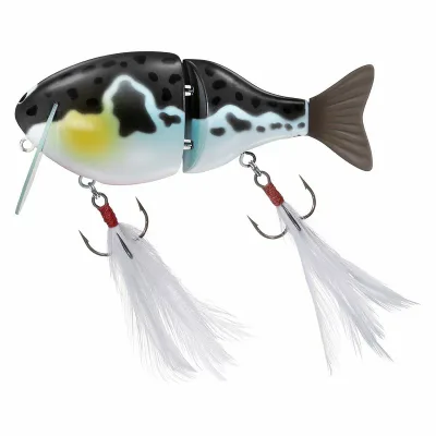 ダイワ(Daiwa) 26ふく魚 118mm トラフグ 07438137