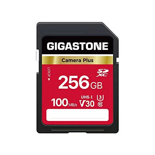 Gigastone SDカード 256GB Camera Plus UHS-I U1 Class 10 SDXC メモリーカード 高速 Full HD ビデオ デジタルカメラ SD card ミニケース1個付き
