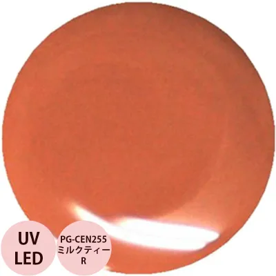 PREGEL プリジェル カラーEX ミルクティーR PG-CEN255 カラージェル / 4g (定形外 対応)