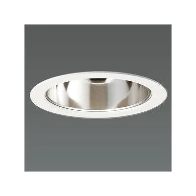LEDダウンライト 取付穴φ125mm FHT42W相当 昼白色相当