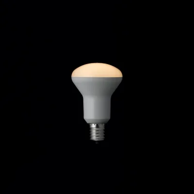 YAZAWA(ヤザワ)R50ミニレフ形LED電球 電球色 E17 非調光タイプ LDR4LHE17