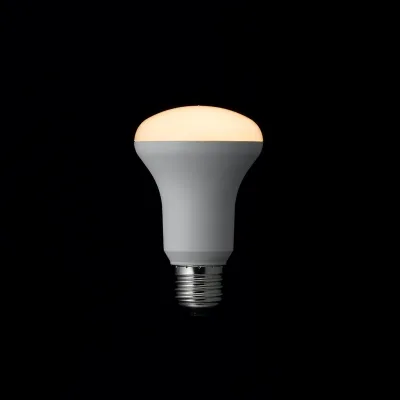 YAZAWA(ヤザワ)R63レフ形LED電球 電球色 E26 非調光タイプ LDR5LH