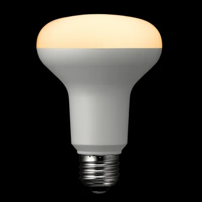 YAZAWA(ヤザワ)R80レフ形LED電球 電球色 E26 調光対応 LDR10LHD2