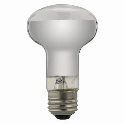 YAZAWA(ヤザワ)レフ形白熱ランプ RF100V90W