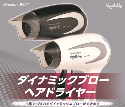 コンパクトIONドライヤー GD-HD30i