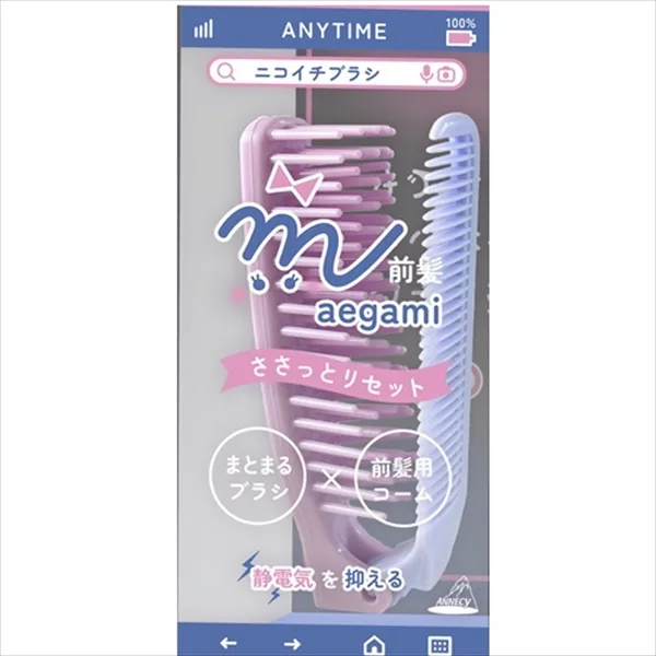NB-480 ニコイチブラシ