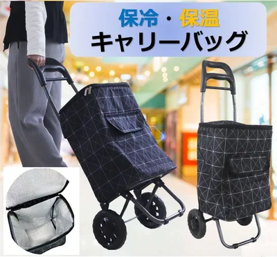 保冷保温キャリーバッグ WJ-9263