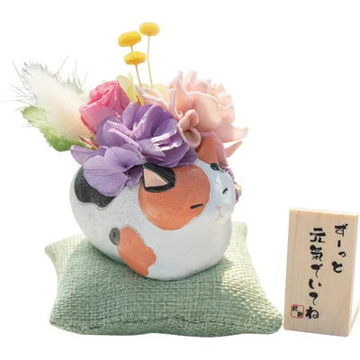 Relaxing cat (preserved flower)