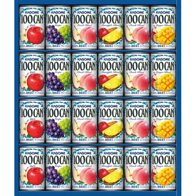 カゴメ 100%フルーツジュースギフト(24本)