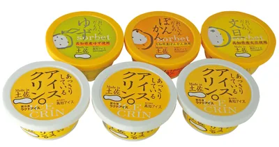 高知Madein土佐「南の国の高知アイス」高知アイスセット