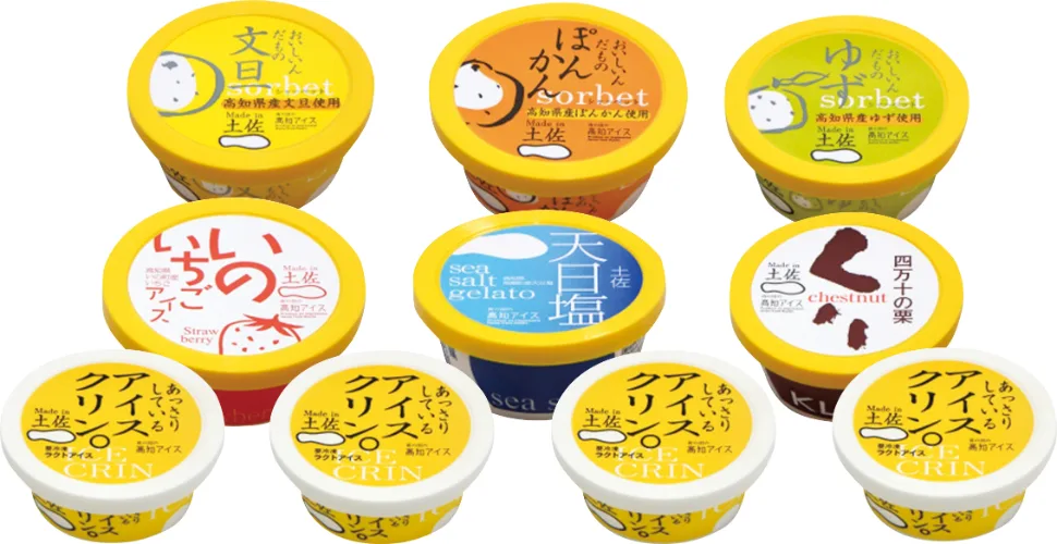 高知土佐高知アイスセット