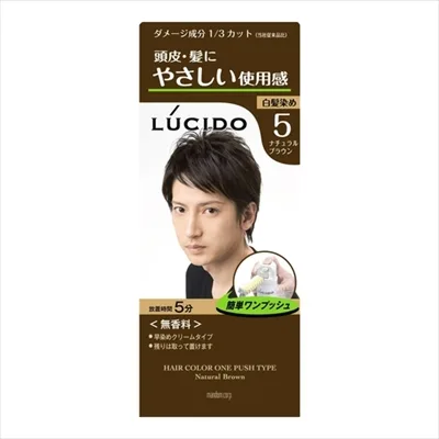 ルシード ワンプッシュケアカラー ナチュラルブラウン