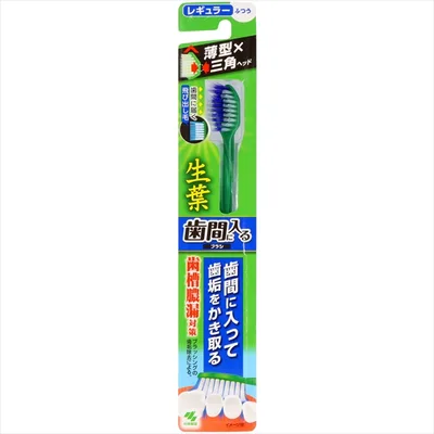 生葉歯間に入るブラシ レギュラー ふつう