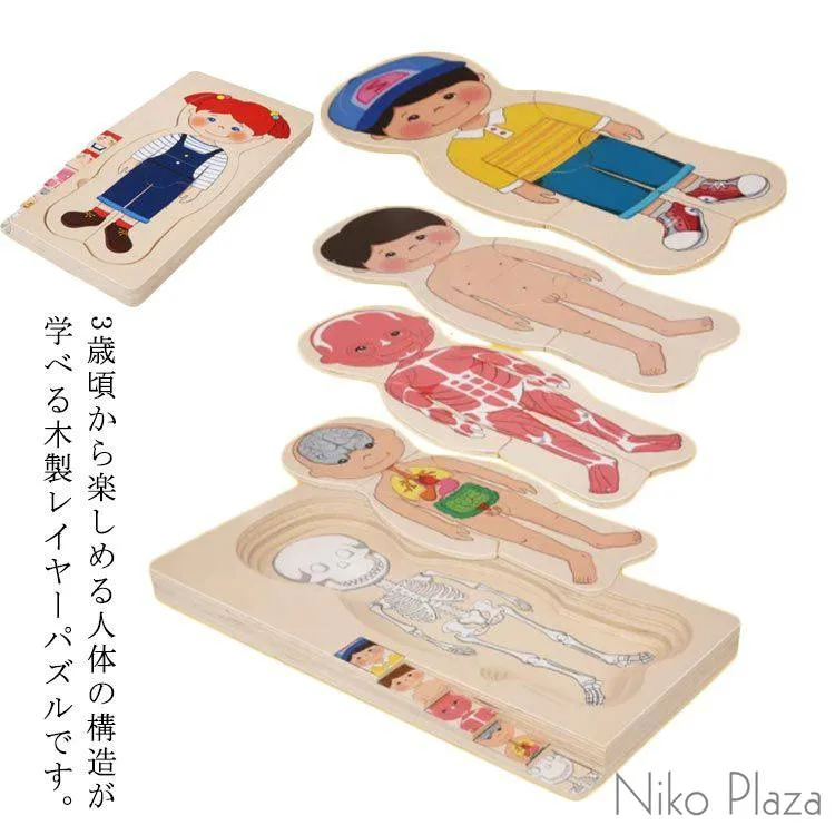 木製人体パズル 男の子 女の子 対象年齢3歳 人体 構造 学べる 木製レイヤーパズル 木のおもちゃ 知育玩具 人体パズル 送料無料