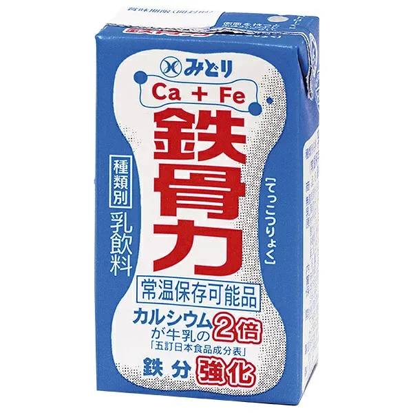 九州乳業 鉄骨力 125ml紙パック×36本入×(2ケース)| 送料無料 豆乳 乳性飲料 乳性 乳飲料 カルシウム 鉄