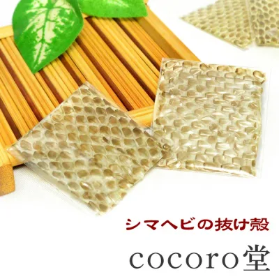 天然石 【メール便送料無料】※単品販売【ポーチ付き】幸運を呼ぶ シマヘビの抜け殻お財布に入れる金運UPのお守り 抜け皮【巳 蛇 弁才天 財運・金運・厄除け・運気上昇の縁起物】風水