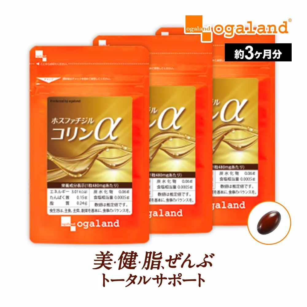 オメガ3 DHA EPA 配合 ホスファチジルコリンα(約3ヶ月分)亜麻仁油 オメガ3 レシチン 健康 美容 女性 男性 送料無料 サプリメント ダイエット サプリ オーガランド 脂肪酸 アマニ油 ポイント消化 送料無 ポイント消費 送料無料