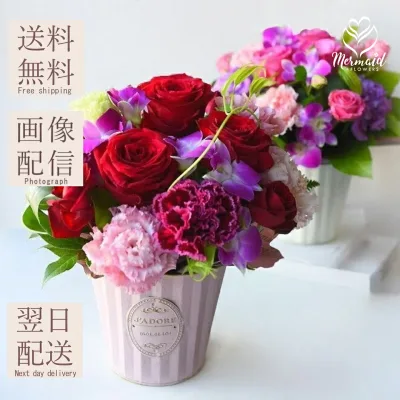 秋限定も フラワーアレンジメント 花 ギフト 誕生日 敬老の日 結婚 ウエディング 送別 祝い プレゼント プレゼント 結婚 祝い 記念日 送別 退職祝い お見舞い アレンジ クール便 送料無料 母『ラ・セゾン』 お母さん 記念日 お祝い