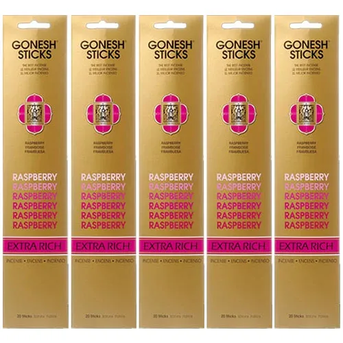 ガーネッシュ ラズベリー GONESH お香 スティック インセンス 5個セット 100本 リラックス 癒し グッズ 香り 芳香 匂い ネコポス