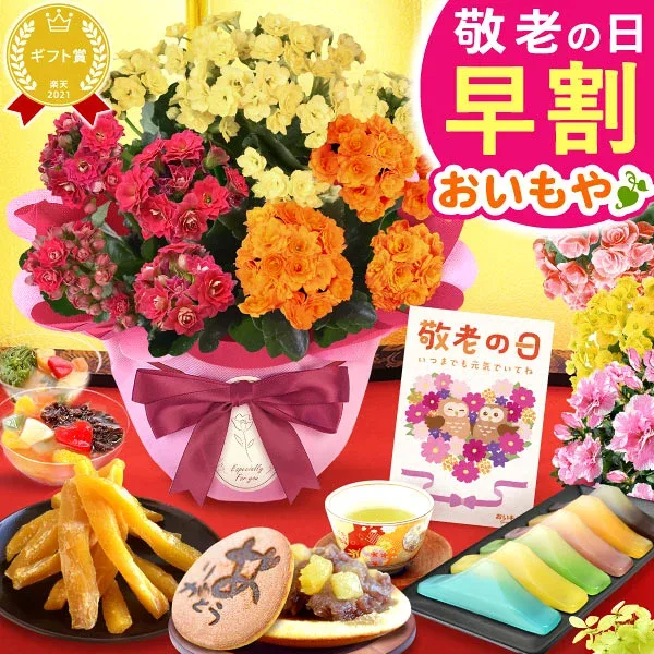 \早割&限定クーポン!/ 敬老の日 ギフト プレゼント 花 生花 鉢植え 鉢花 アザレア スイーツ ベゴニア カランコエ どら焼き お菓子 和菓子 洋菓子 花とお菓子 60代 70代 80代 90代 おじいちゃん おばあちゃん 孫 孫から 送料無料 oimoya
