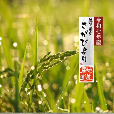プライスダウン【 さがびより 令和7年 玄米 おすすめ 】 2025年産米 10Kg 送料無料 佐賀県産 高級 ブランド米 大粒 厳選 産直 佐賀びより 10キロ 美味しい うまい 銘柄米 特産品 旬 単一原料100% げんまい 1等米 特a 人気 売れ筋 特別栽培 安心 安全 減農薬米 送料無料