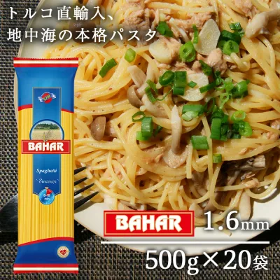 パスタ スパゲッティ 1.6mm 500g 20袋 スパゲッティーニ スパゲティ バハール BAHAR 業務用 デュラム小麦100%『送料無料(一部地域除く)』