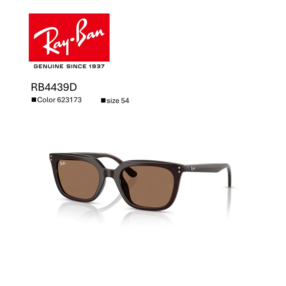 【送料無料】20%OFF【国内正規品】レイバン|RayBan|RB4439D_623173 レイバン サングラス