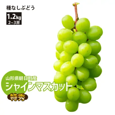 【特秀】10月上旬~ シャインマスカット 約1.2kg 2〜3房 山形県朝日町産 10月上旬~10月下旬 順次発送