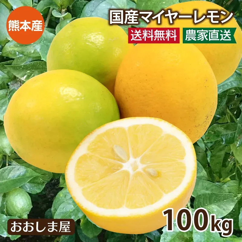 レモン 国産 100kg 送料無料 <9月下旬頃より順次出荷> 減農薬 ノーワックス 防カビ剤不使用 熊本産 マイヤーレモン メイヤーレモン 国産レモン みかん 果物 フルーツ れもん 檸檬 柑橘 農家直送 産地直送