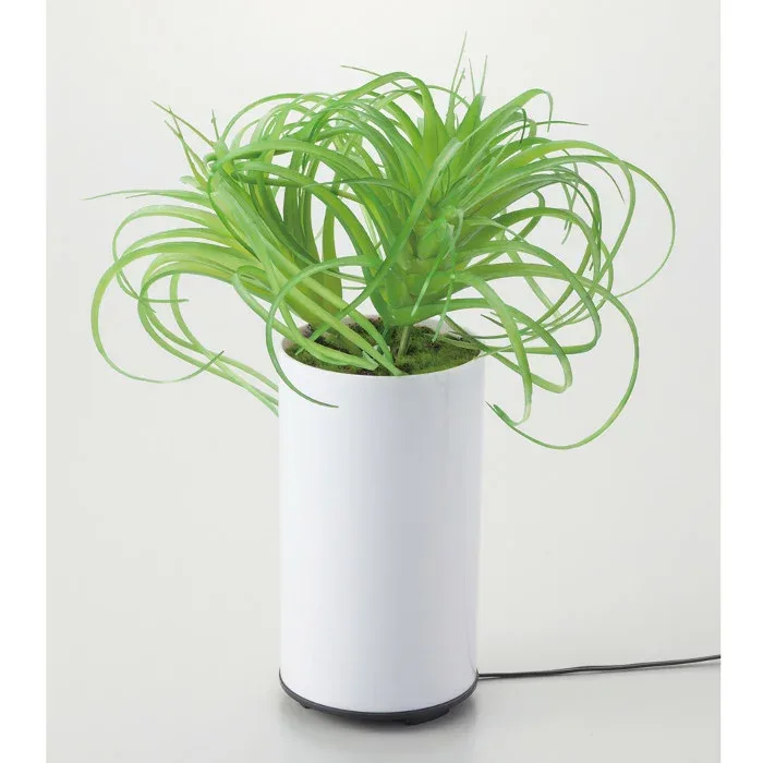 観葉植物型アロマ噴霧器 グリーンディフューザー C イシグロ 70092 アロマディフューザー aroma 加湿 【はこぽす対応商品】【コンビニ受取対応商品】