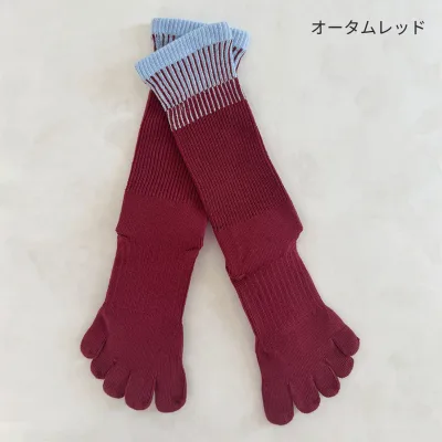 【直送品】knitido THREE ストライプハイクルー オータムレッド カラー:オータムレッド【返品キャンセル不可】