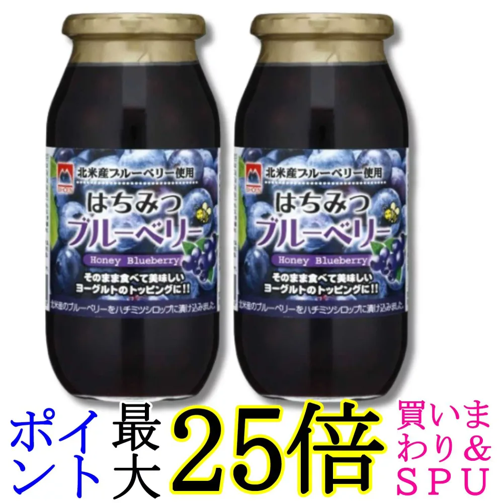 2個セット 加藤美蜂園 はちみつブルーベリー 650g 送料無料