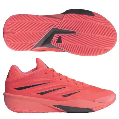 アディダス adidas CRAZY ENERGY JAPAN クレイジーエナジージャパン バスケットシューズ バッシュ 26AW(LA5638)