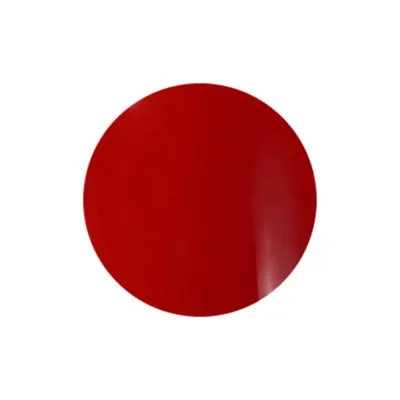 C.O.R.E GEL(コアジェル)カラージェル C060 レッドコーラル サロン専売品 プロ用 おすすめ ジェルネイル セルフネイル