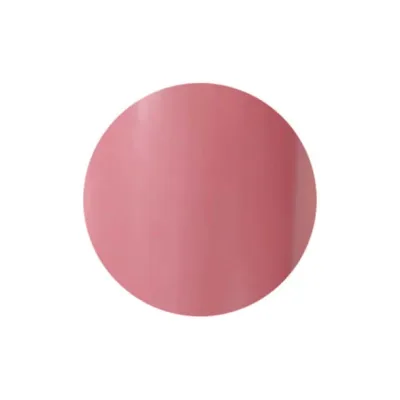 C.O.R.E GEL(コアジェル)カラージェル C080 ピンクスターチス サロン専売品 プロ用 おすすめ ジェルネイル セルフネイル