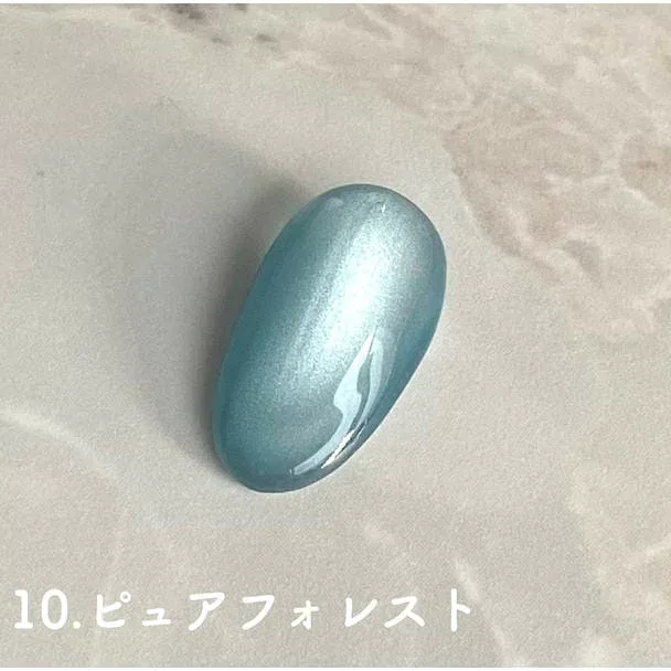 【D.Nail】 D.nail グロスマグジェル10 ピュアフォレスト サロン専売品 プロ用 おすすめ ジェルネイル セルフネイル