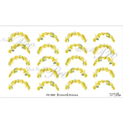 【Sha-Nail】 写ネイルplus【French】ミモザ サロン専売品 プロ用 おすすめ ジェルネイル セルフネイル