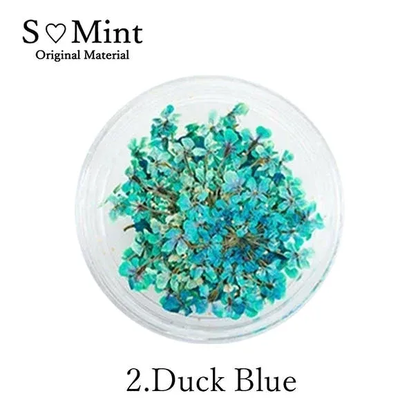 SMint レースフラワー 2.ダックブルー サロン専売品 プロ用 おすすめ ジェルネイル セルフネイル