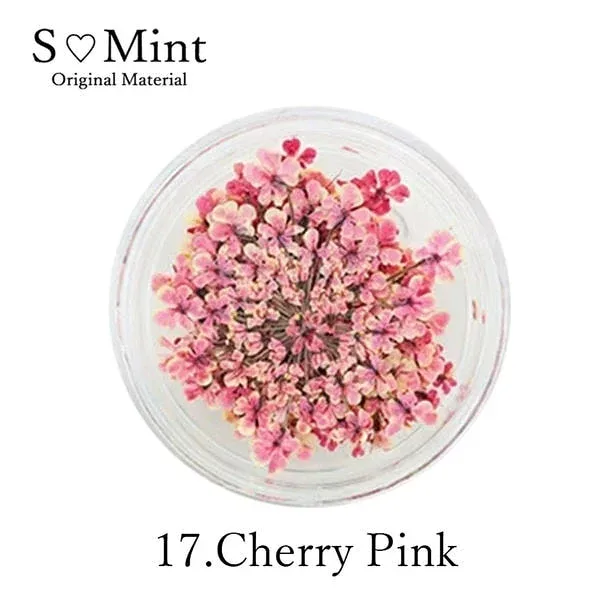 SMint レースフラワー 17.チェリーピンク サロン専売品 プロ用 おすすめ ジェルネイル セルフネイル