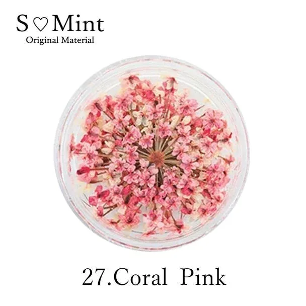SMint レースフラワー 27.コーラルピンク サロン専売品 プロ用 おすすめ ジェルネイル セルフネイル