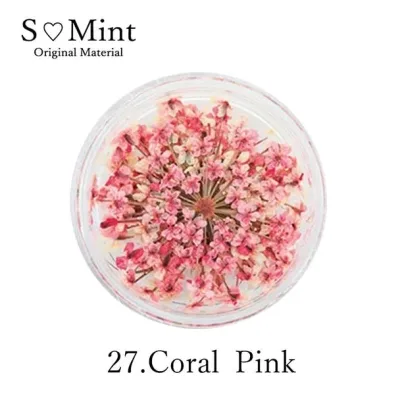 SMint レースフラワー 27.コーラルピンク サロン専売品 プロ用 おすすめ ジェルネイル セルフネイル