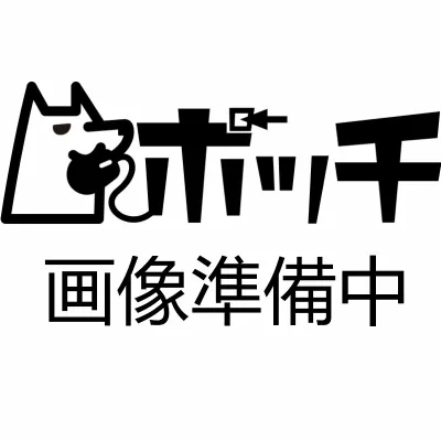 貝印(Kai Corporation) KAI leaf2 20本入 2枚刃 大容量 ディスポ 使い捨て カミソリ 髭剃り GA0123