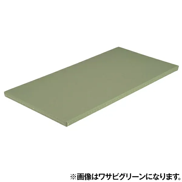 エバニュー EKR065 100 全柔連公認畳関東間滑止付 赤 EVERNEW メーカー直送