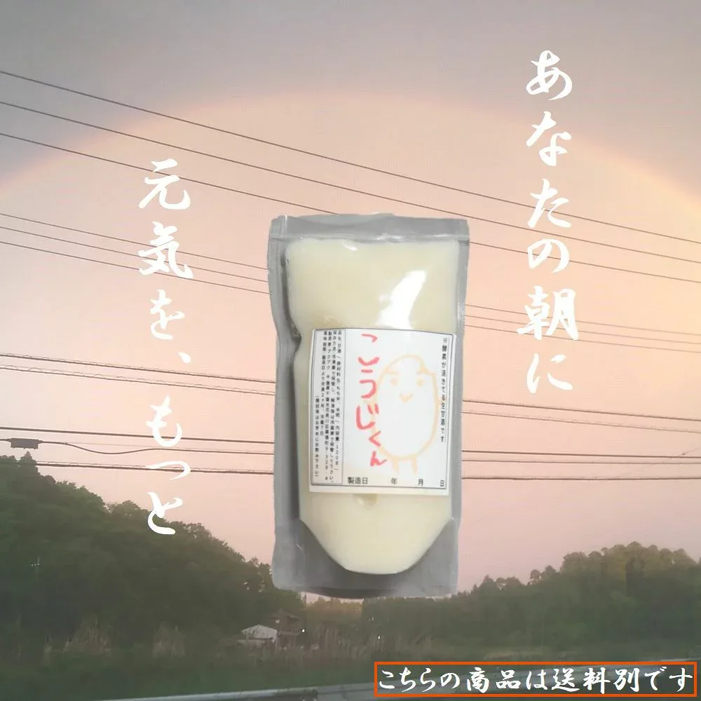 生甘酒 こうじくん 白米 120g 1袋 送料別途