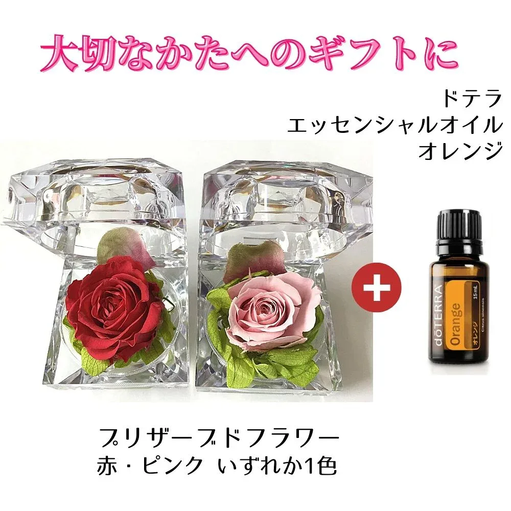 プリザーブドフラワー&ドテラエッセンシャルオイル オレンジの2点セット(プリザーブドフラワーは赤・ピンクのいずれかをお選びください) doTERRA ギフト 贈答 プレゼント