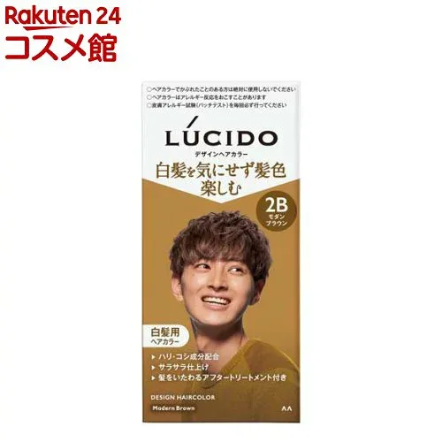 LUCIDO(ルシード) デザインヘアカラー モダンブラウン 白髪染め メンズ(1セット)【ルシード(LUCIDO)】