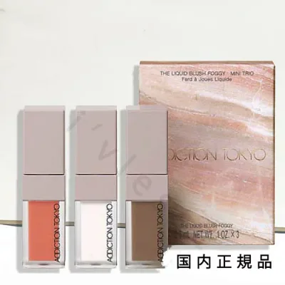 (10時までのご注文当日発送)(休業日除く)国内正規品 ADDICTION アディクション ザ リキッドブラッシュ フォギー ミニ トリオ 102(限定キット) 2025年クリスマス限定