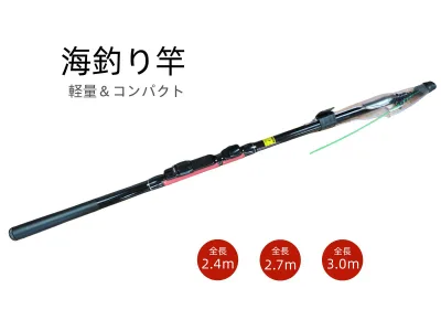 送料無料 REI-WA 釣り竿 釣竿2.4m振出 コンパクトロッド カーボンロッド サーフロッド 海釣り 投げ竿 遠投 船竿 携帯 軽量フィッシングロッド スピニングリール用 釣竿収納箱 付…